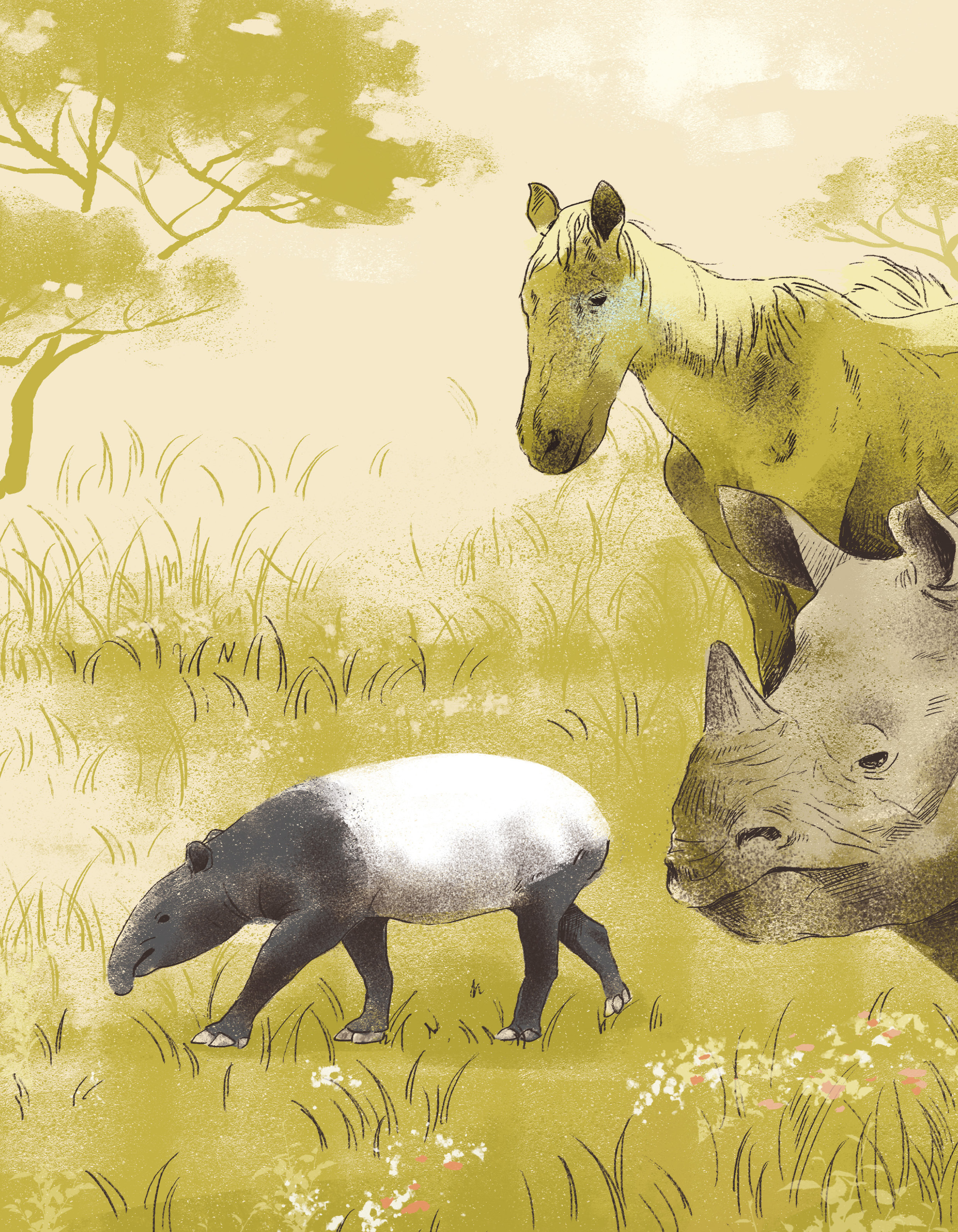更新世動物插畫——馬來貘、犀牛、馬群，金黃草原場景